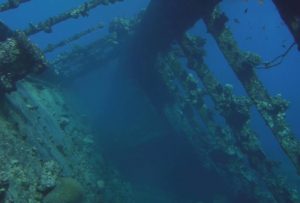 Underwater Ocean Drone Survey in South Florida